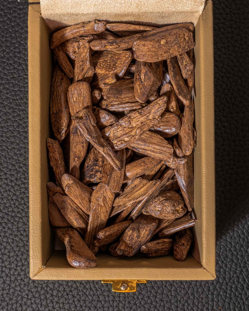 عود مروكي محسن إندونيسي طبيعي حجم وسط