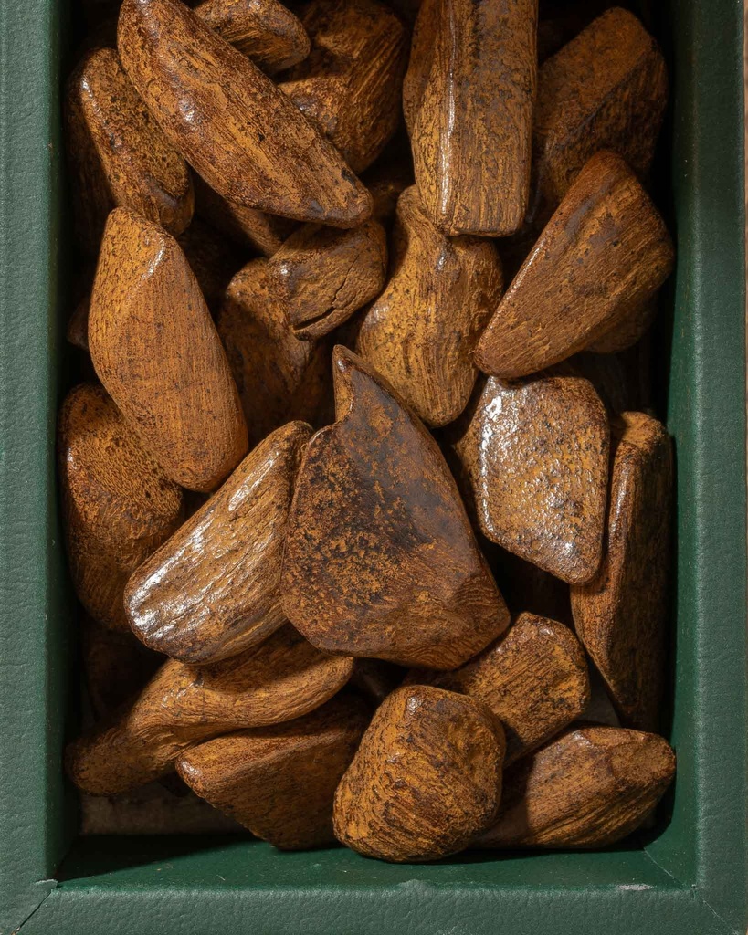 عود مروكي محسن إندونيسي طبيعي حجم كبير