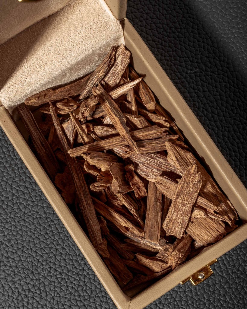 (عود مالينو كلمنتان ماليزي (دبل ايه