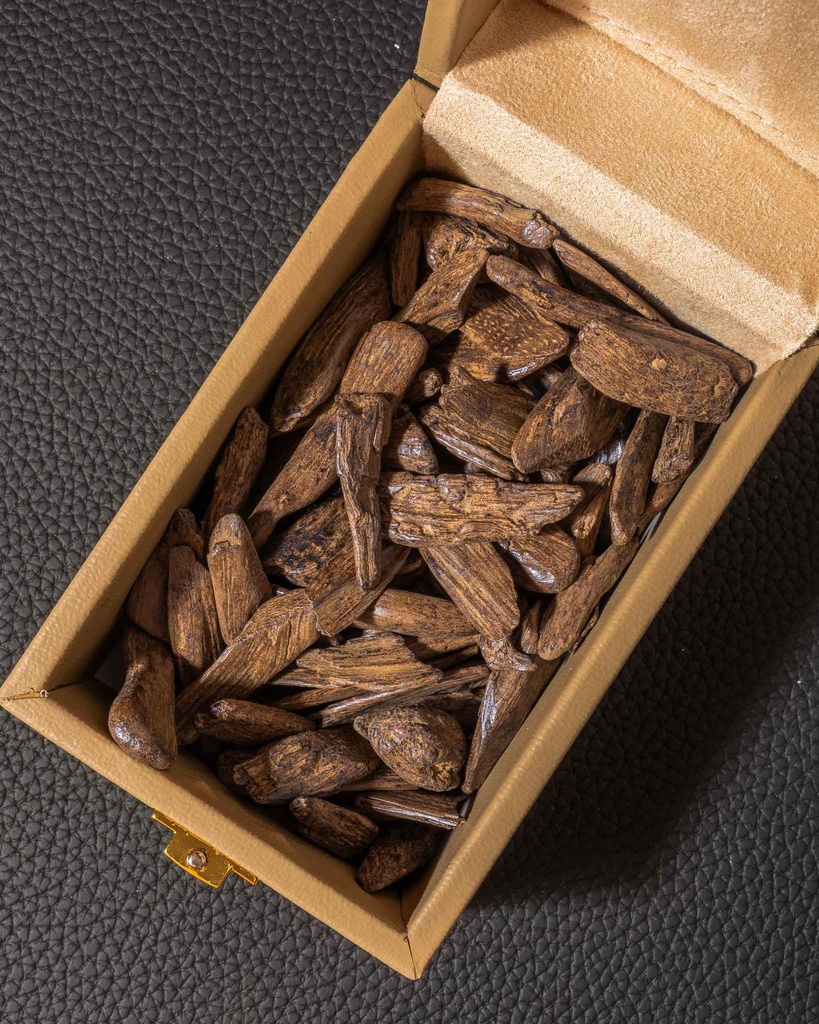 عود مروكي محسن حجم وسط
